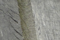 test img